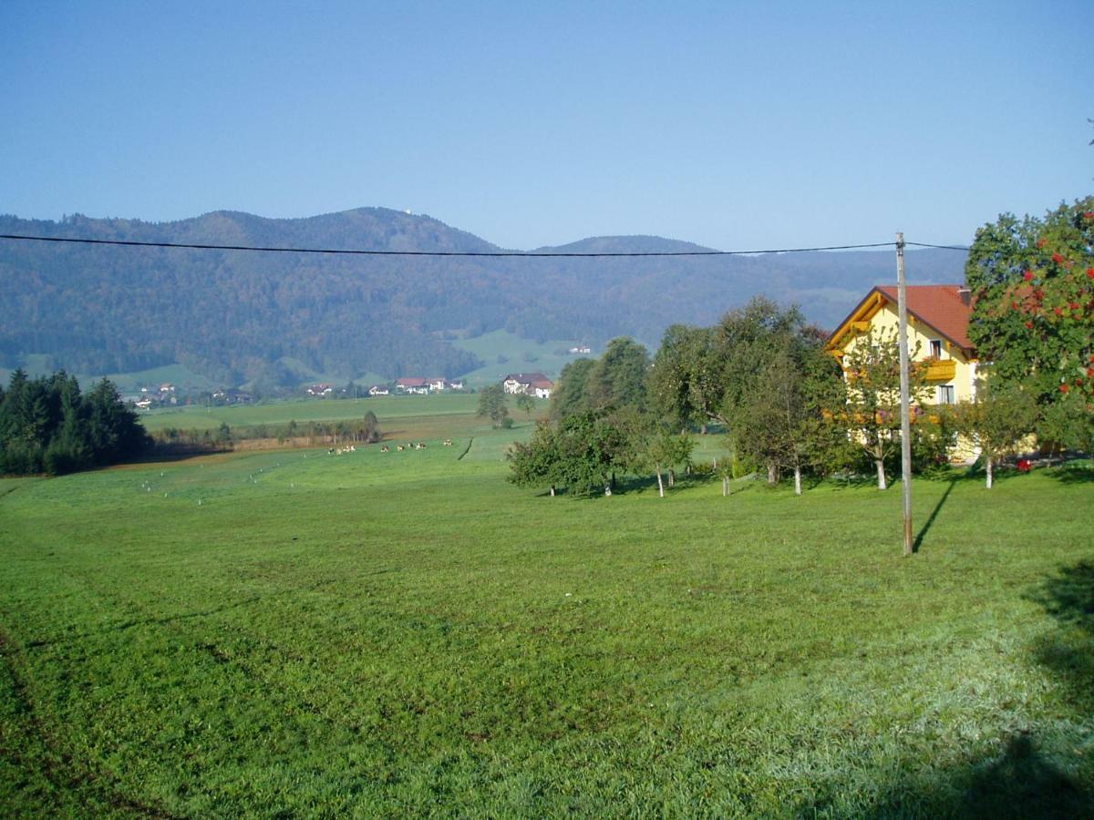 Pension Puhringer Mondsee Buitenkant foto